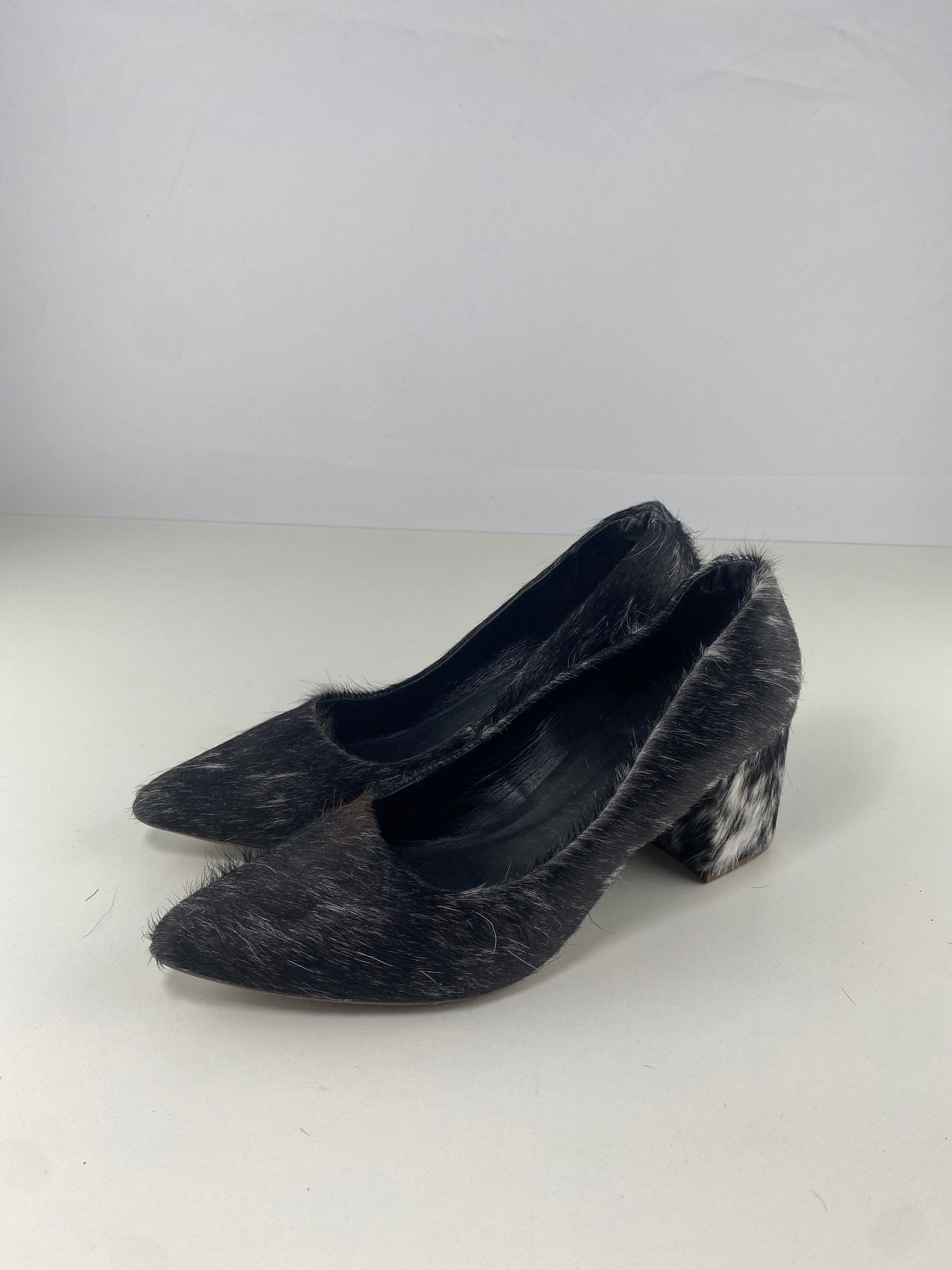 Sapato Vênus | Tamanho 37