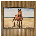 Quadro em Tela de Veludo