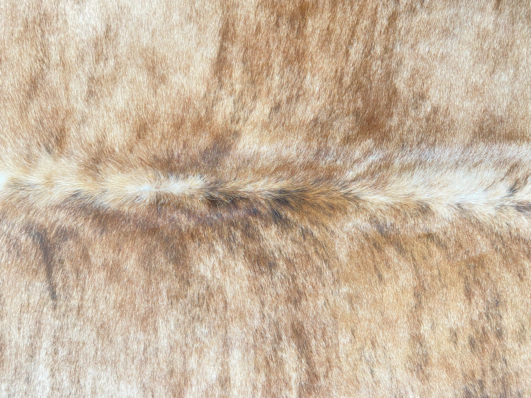 Tapete de Couro Formatado