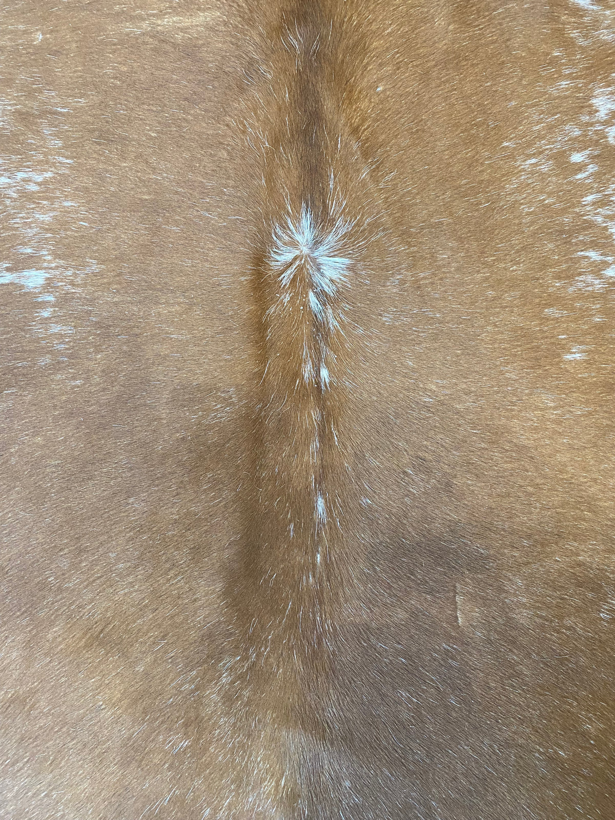 Tapete de Couro Formatado TAMANHO [2,20X2,00]