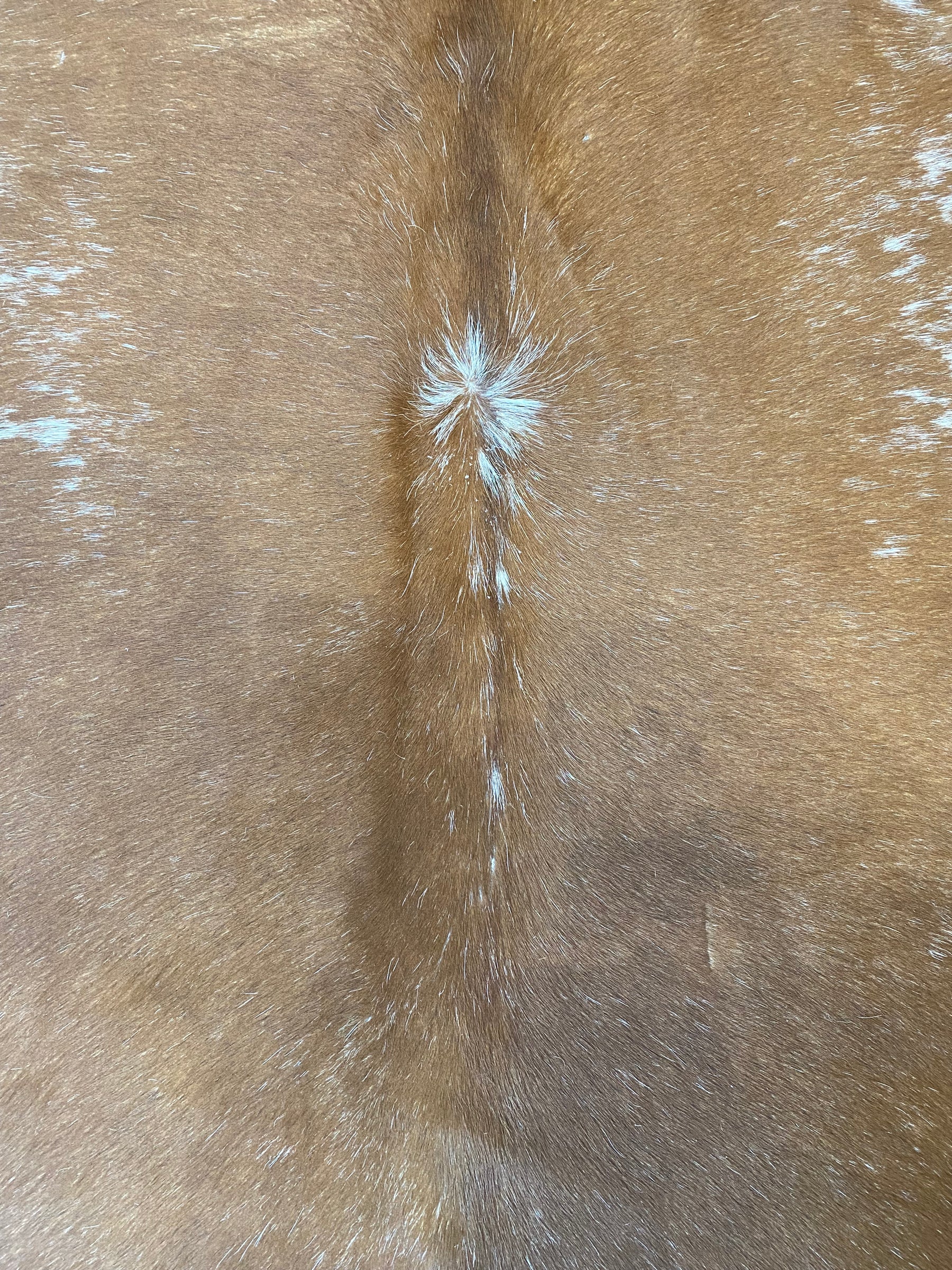 Tapete de Couro Formatado TAMANHO [2,20X2,00]