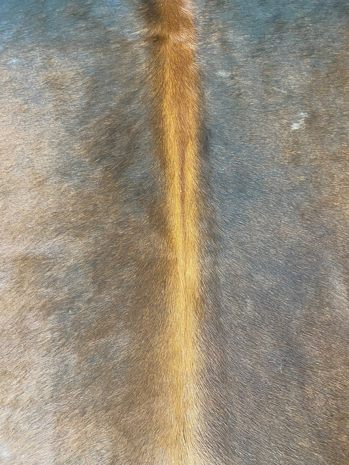 Tapete de Couro Formatado TAMANHO [2,10X1,84]