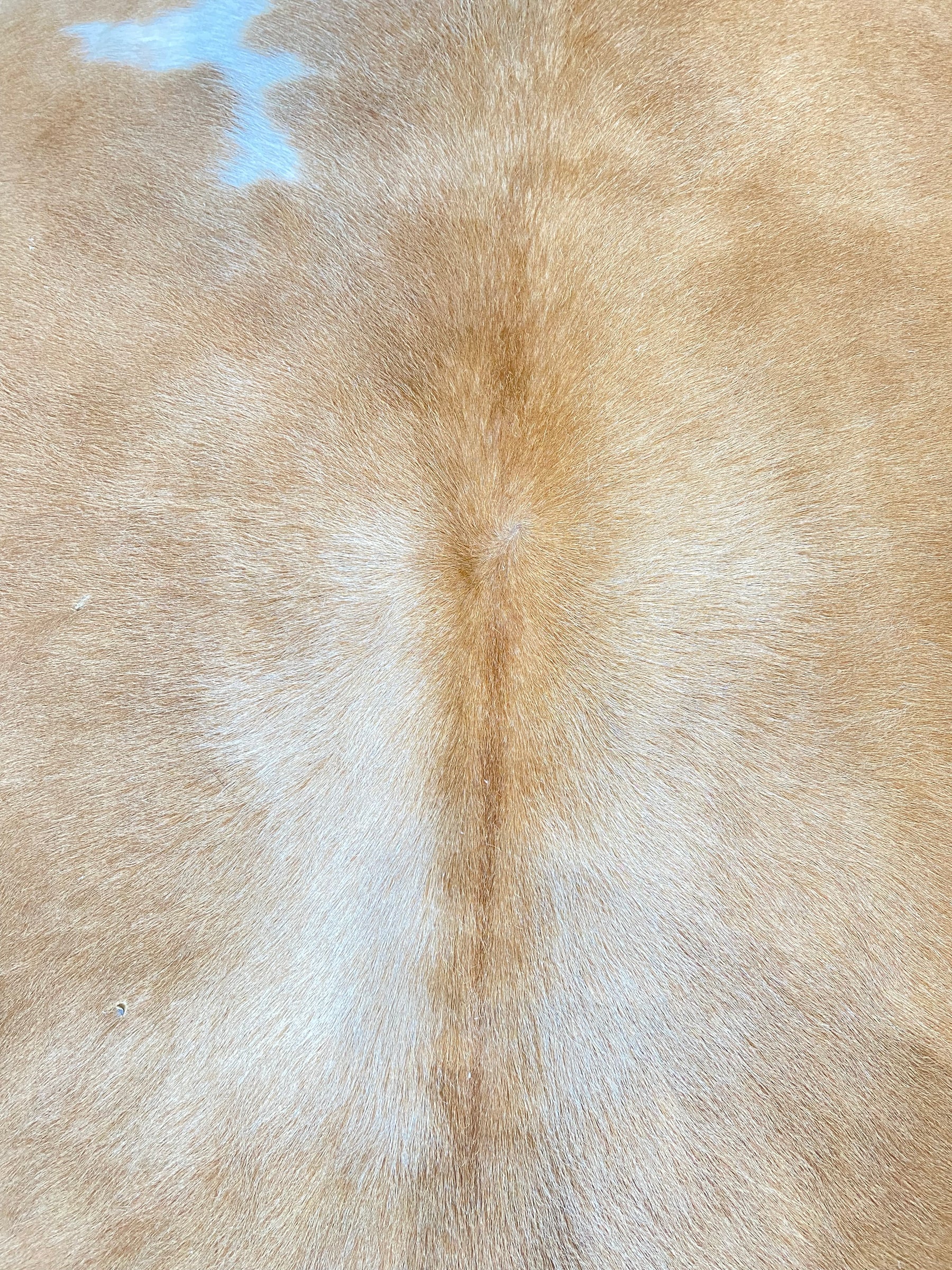 Tapete de Couro Formatado TAMANHO [2,18X2,02]