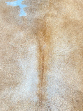 Tapete de Couro Formatado TAMANHO [2,18X2,02]