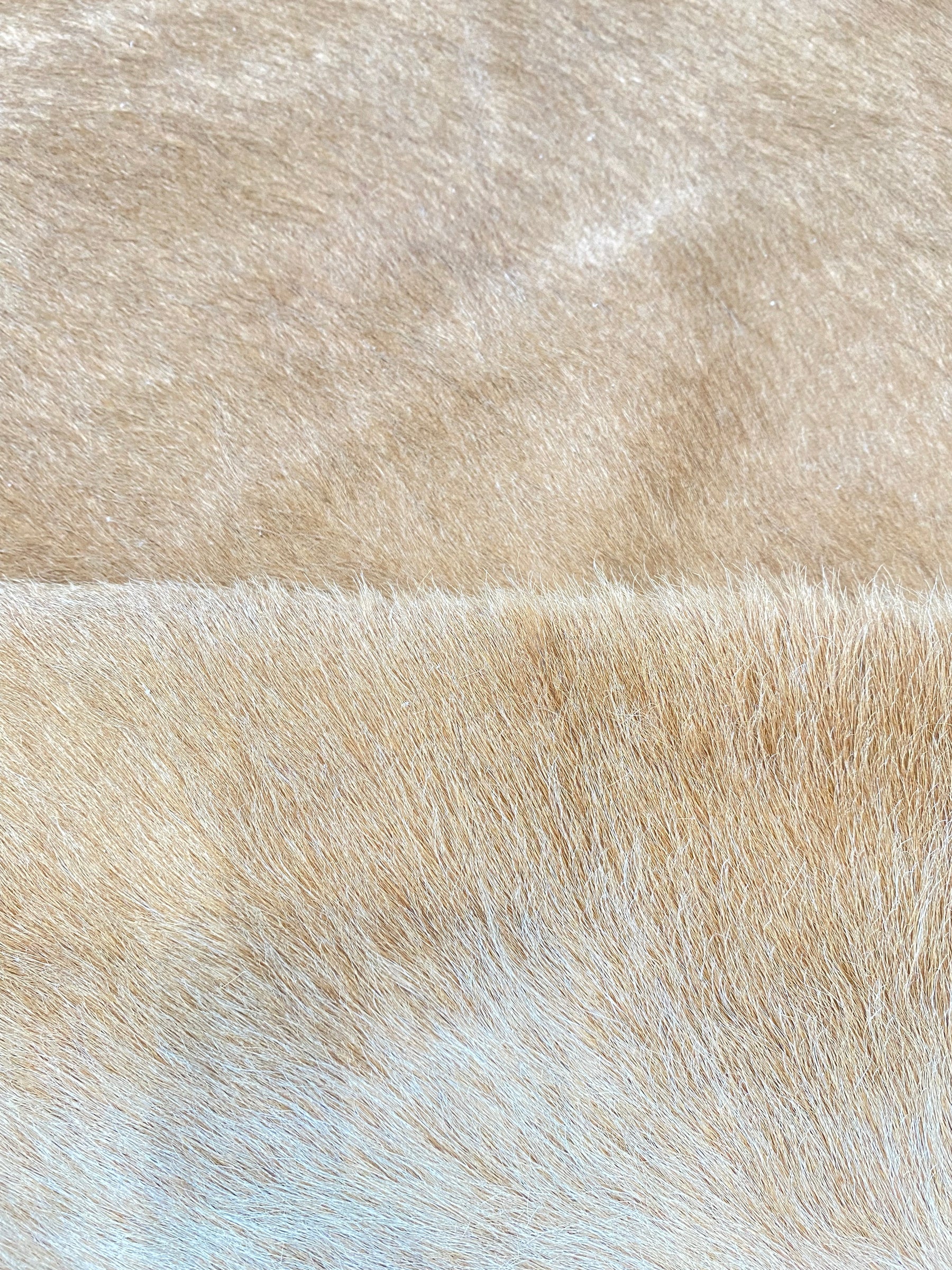 Tapete de Couro Formatado TAMANHO [2,18X2,02]