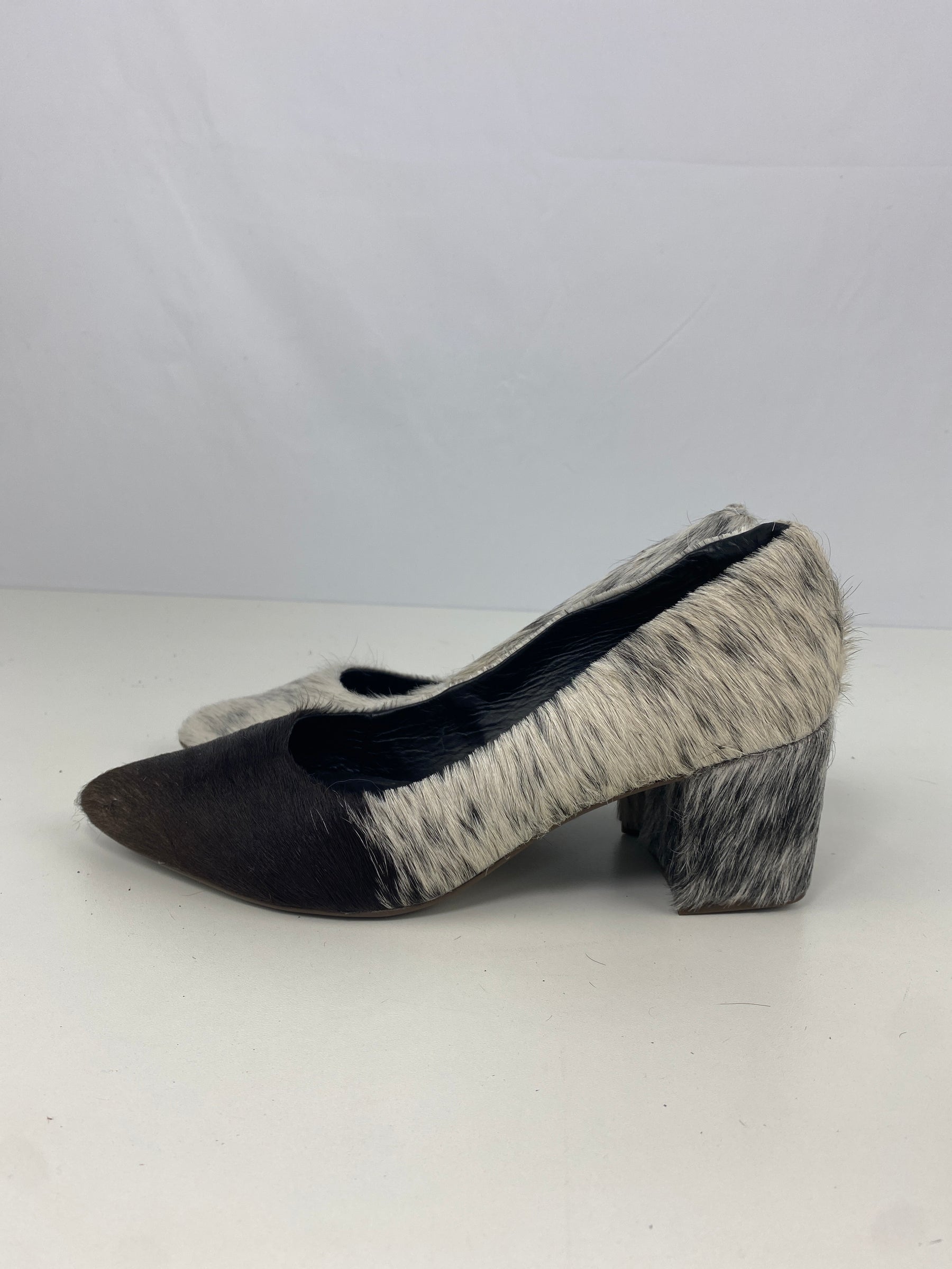 Sapato Vênus | Tamanho 35