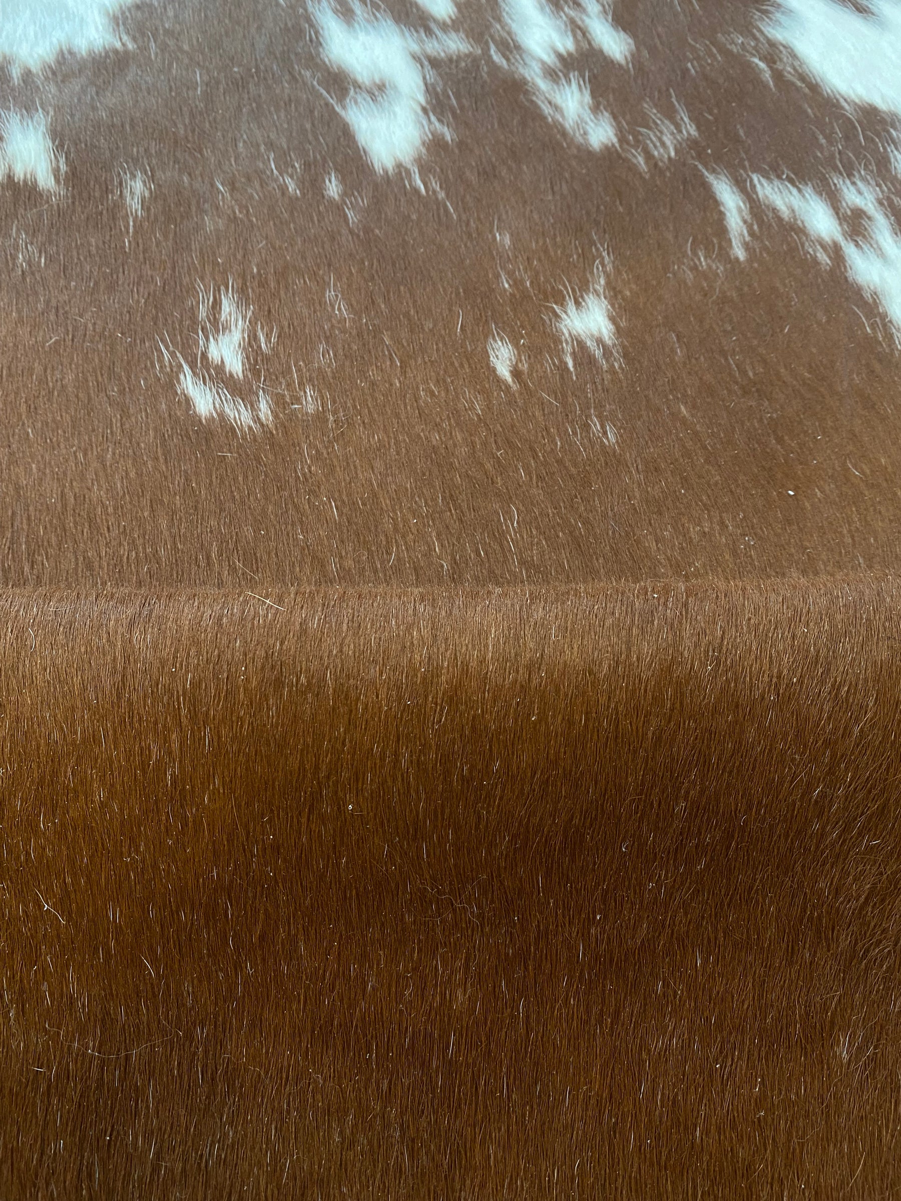 Tapete de Couro Formatado TAMANHO [2,04X1,95]