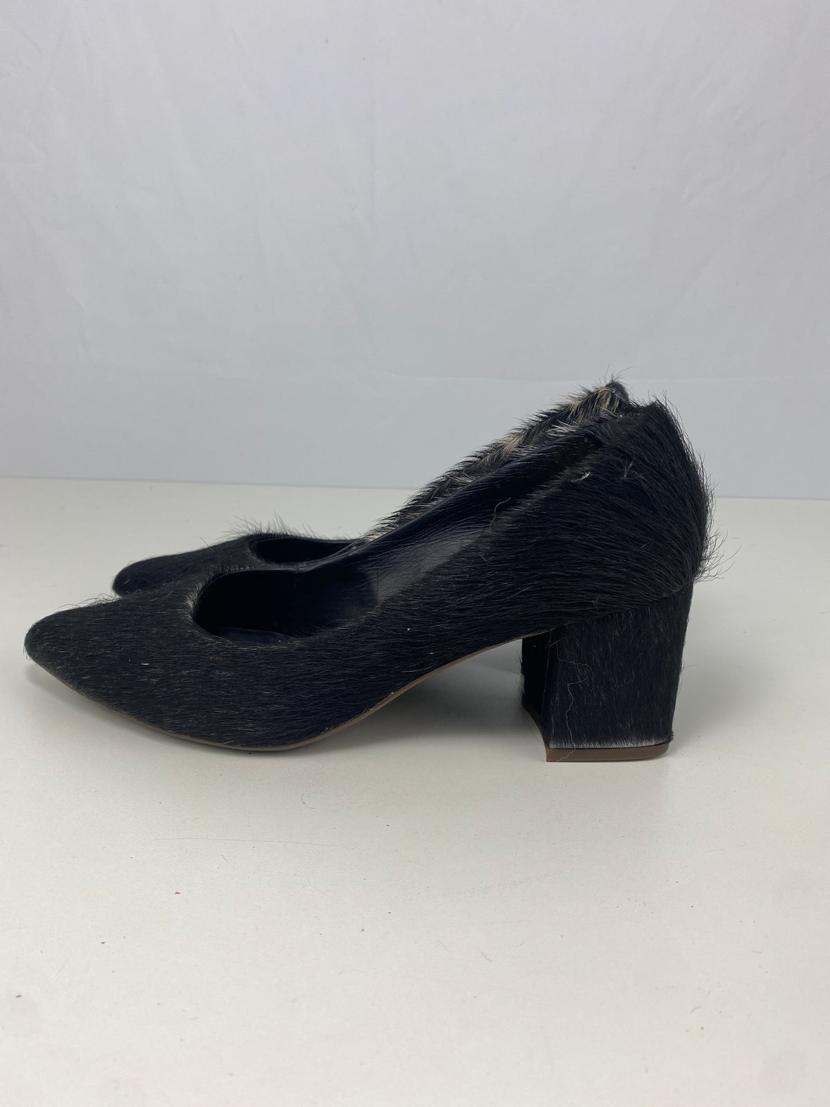 Sapato Vênus | Tamanho 37