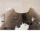 Tapete de Couro Formatado | Modelo 62