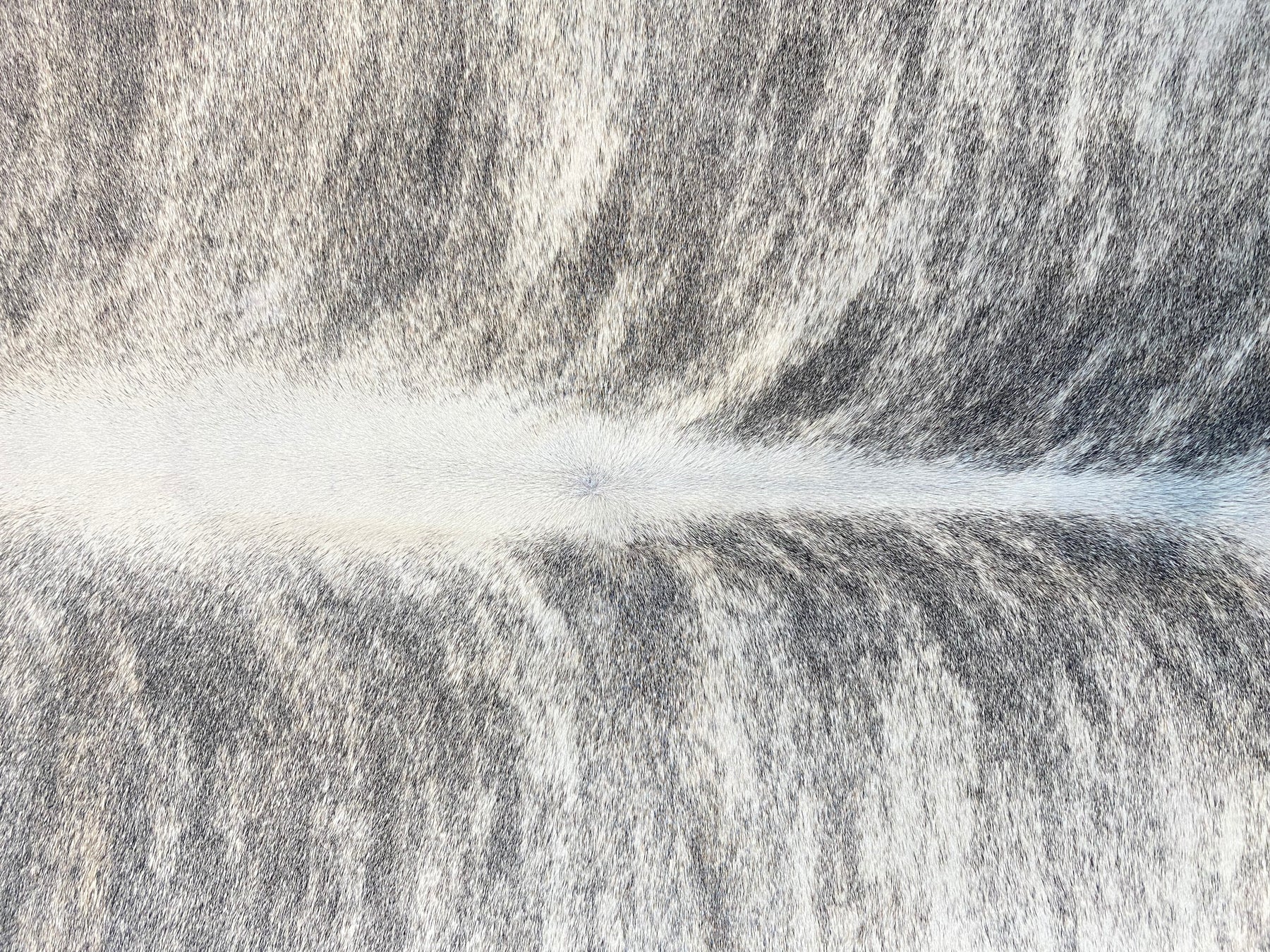 Tapete de Couro Formatado TAMANHO [2,26X202]