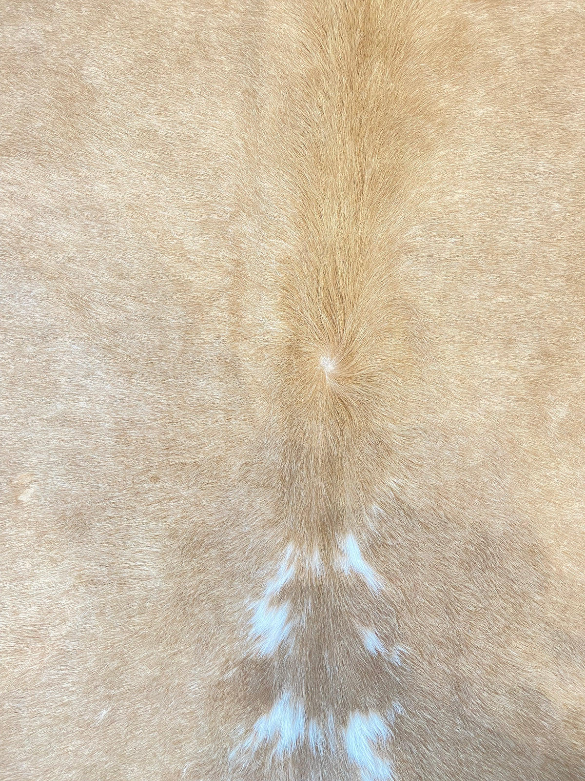 Tapete de Couro Formatado TAMANHO [2,28X2,15]