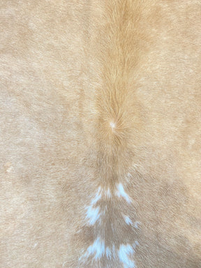 Tapete de Couro Formatado TAMANHO [2,28X2,15]