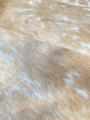 Tapete de Couro Formatado