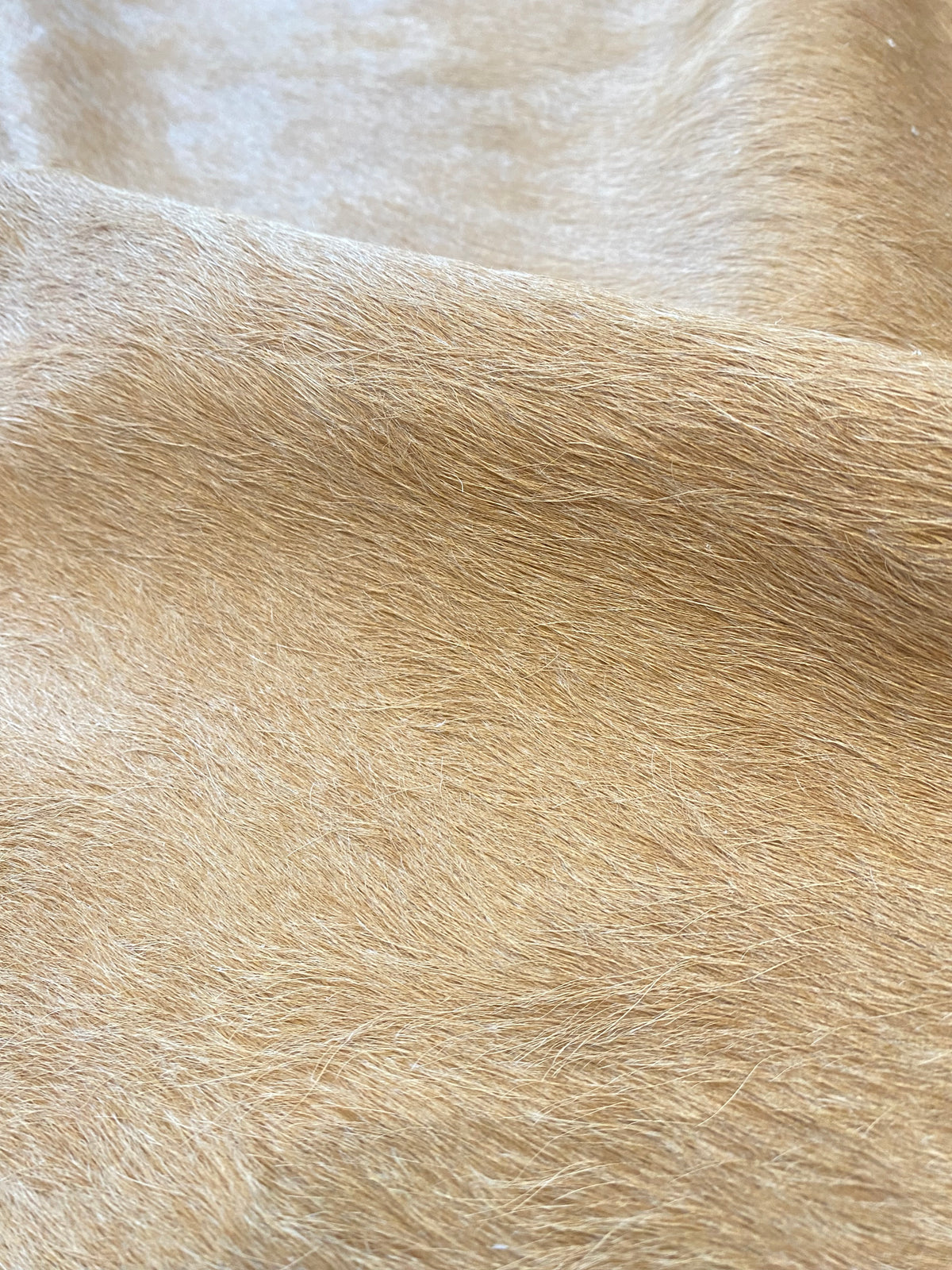 Tapete de Couro Formatado