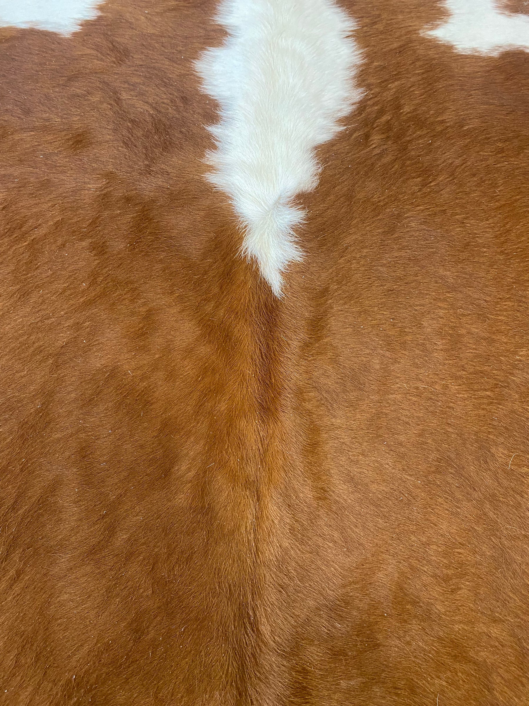 Tapete de Couro Formatado TAMANHO [2,21X1,96]