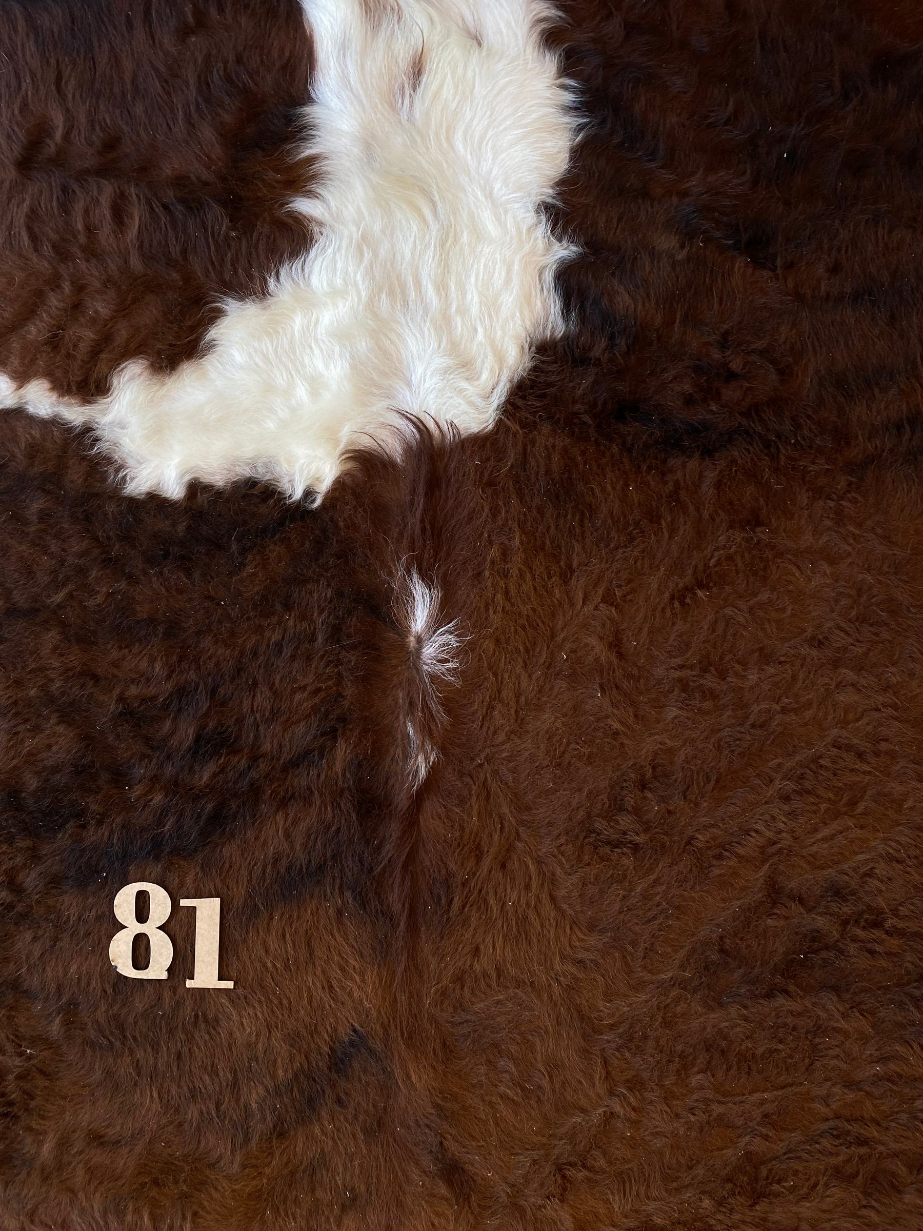 Tapete de Couro Formatado