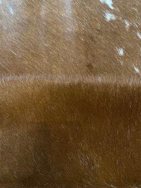 Tapete de Couro Formatado TAMANHO [2,20X2,00]