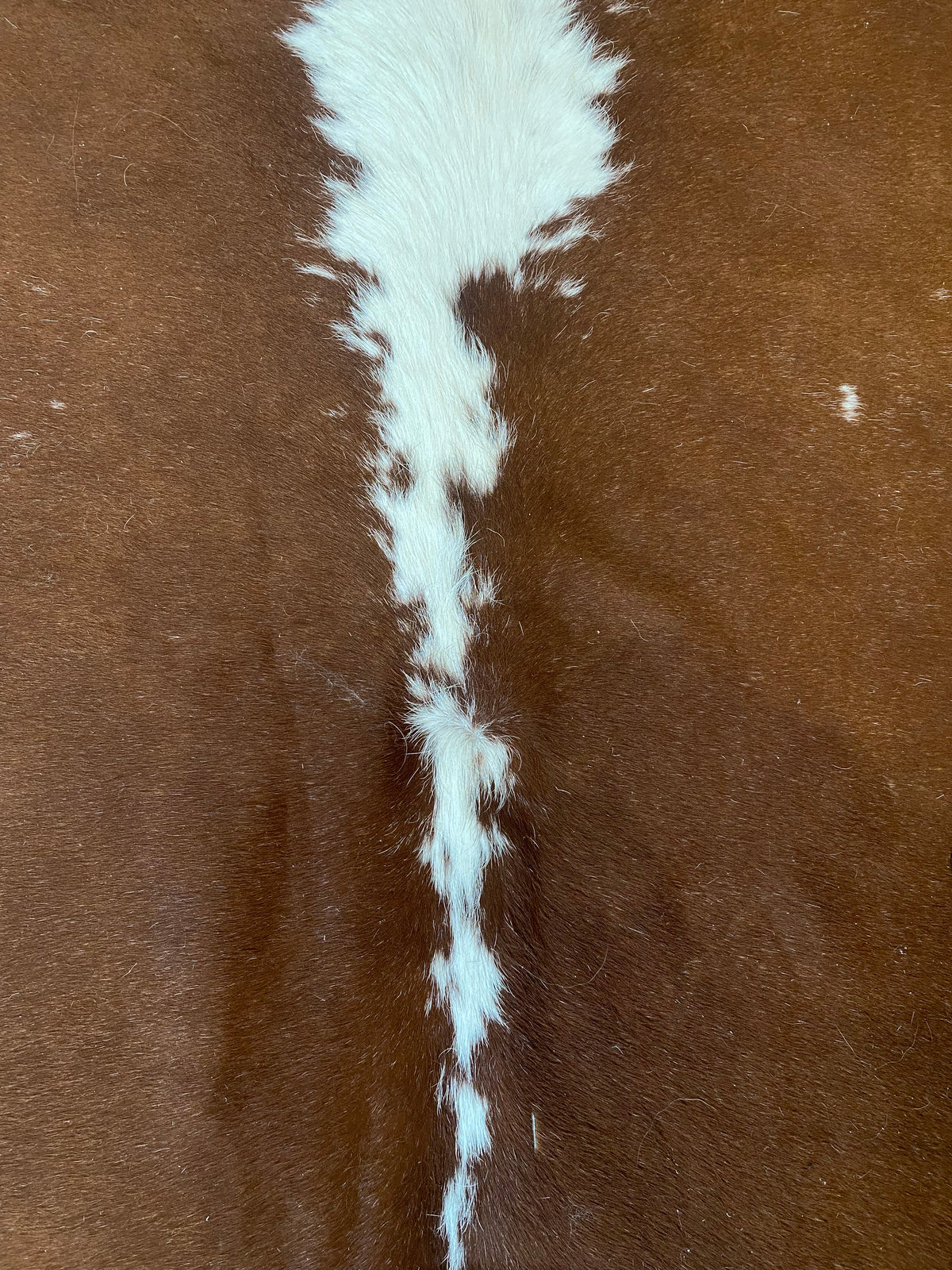 Tapete de Couro Formatado TAMANHO [2,04X1,95]