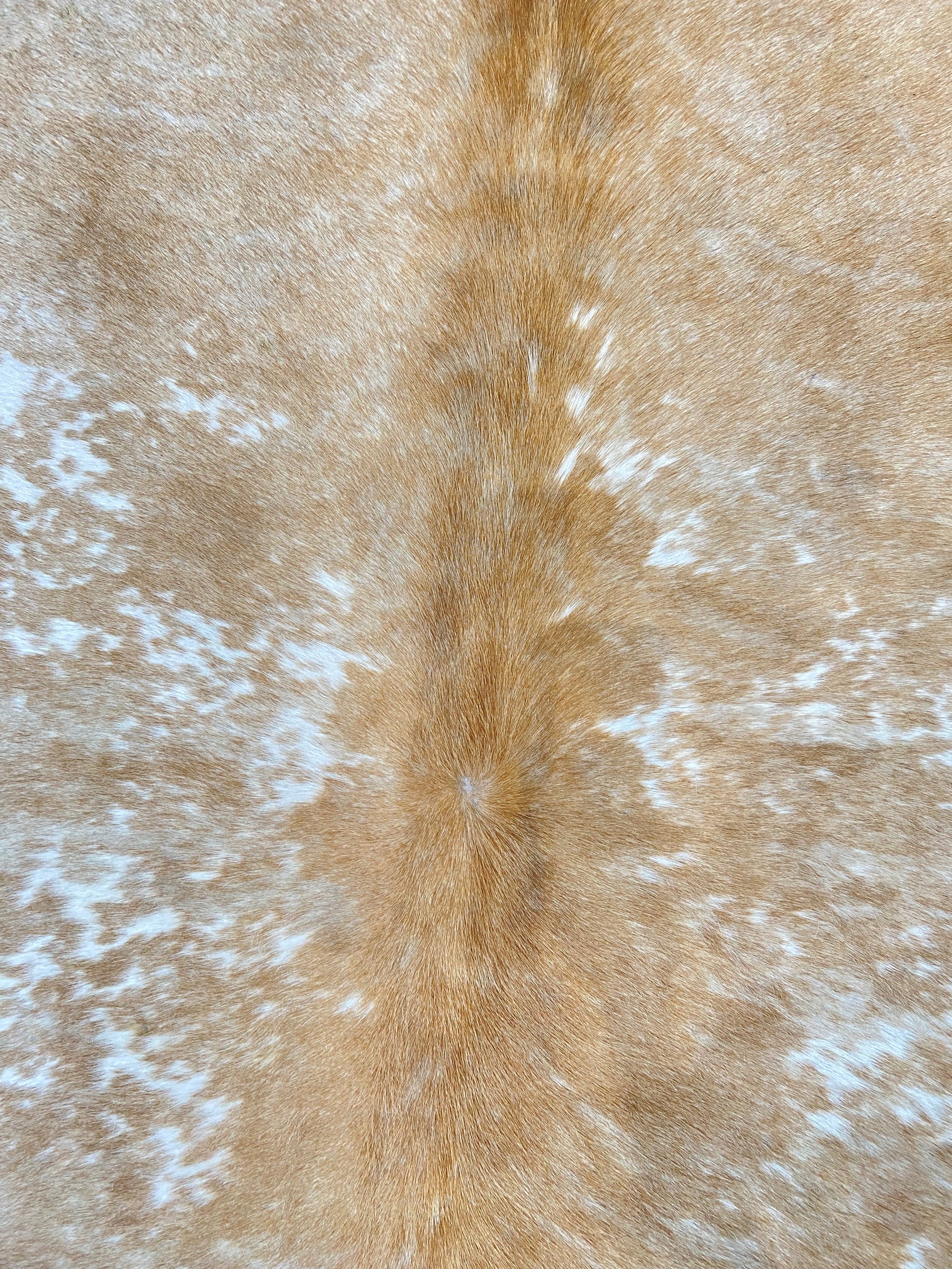 Tapete de Couro Formatado