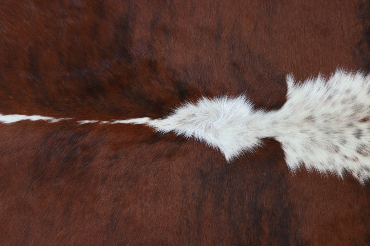 Tapete de Couro Formatado TAMANHO [2,02X2,01]