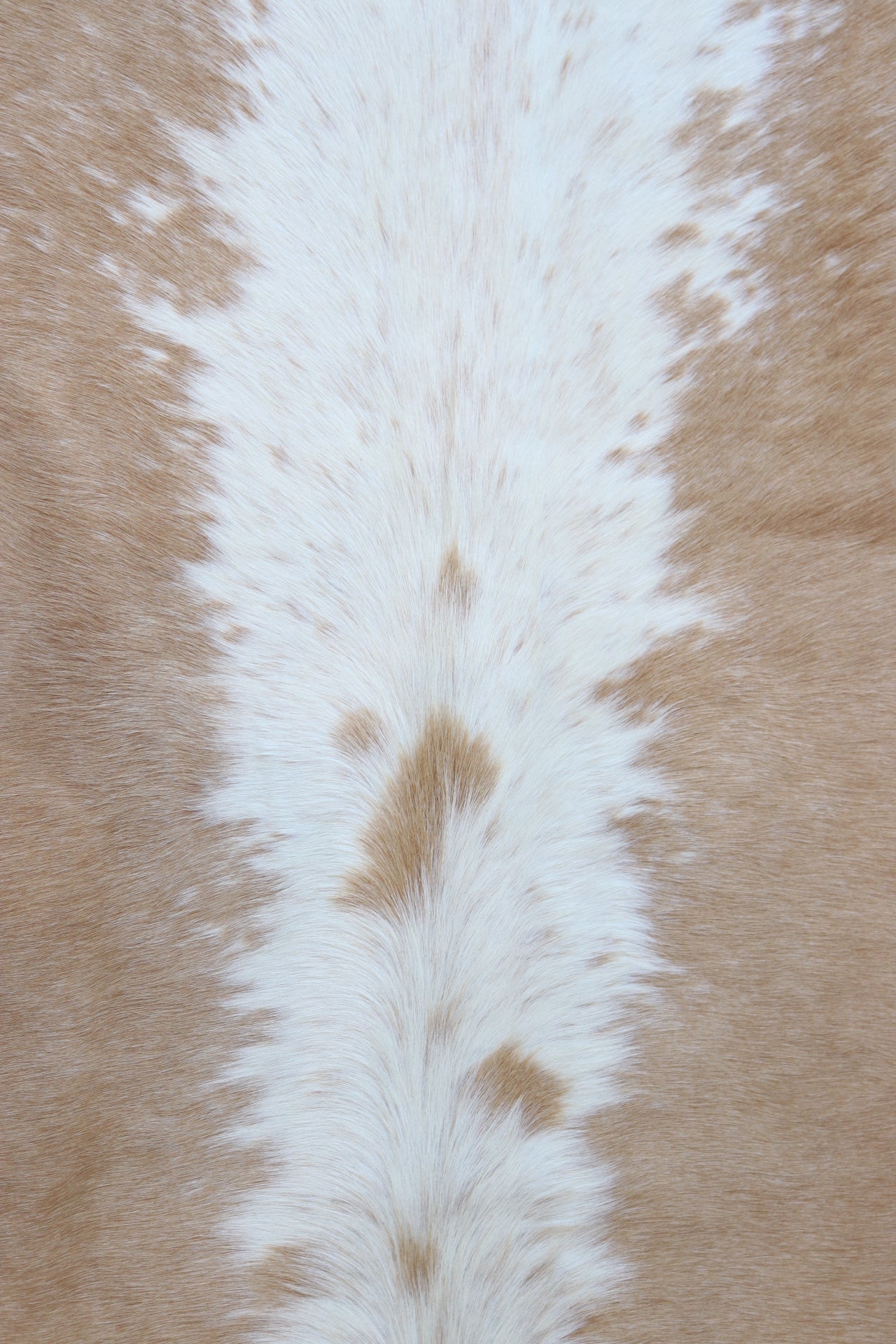 Tapete de Couro Formatado TAMANHO [2,20X1,95]