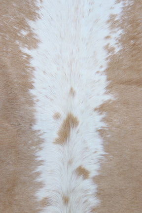 Tapete de Couro Formatado TAMANHO [2,20X1,95]