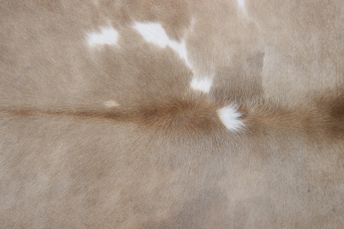 Tapete de Couro Formatado TAMANHO [2,04X1,90]