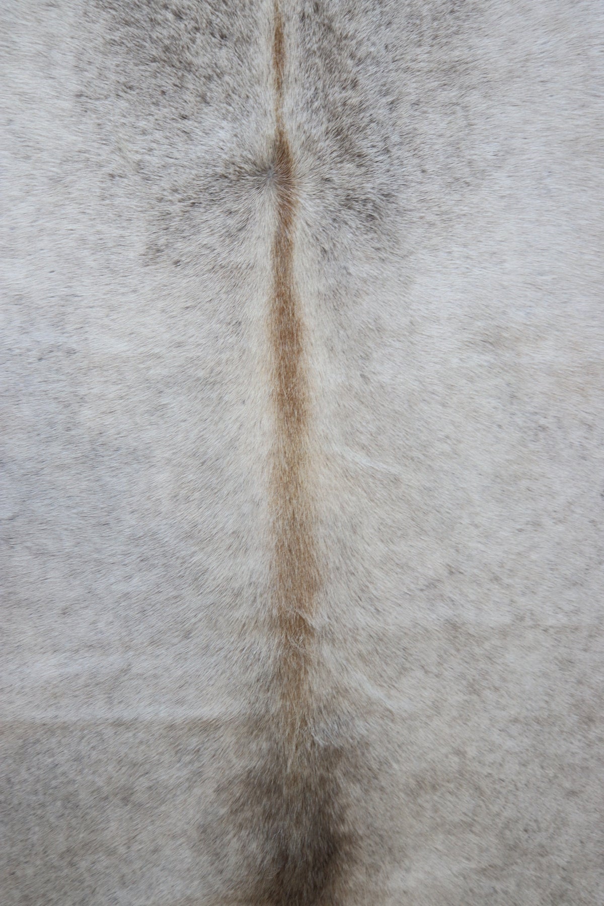 Tapete de Couro Formatado TAMANHO [2,27X1,88]