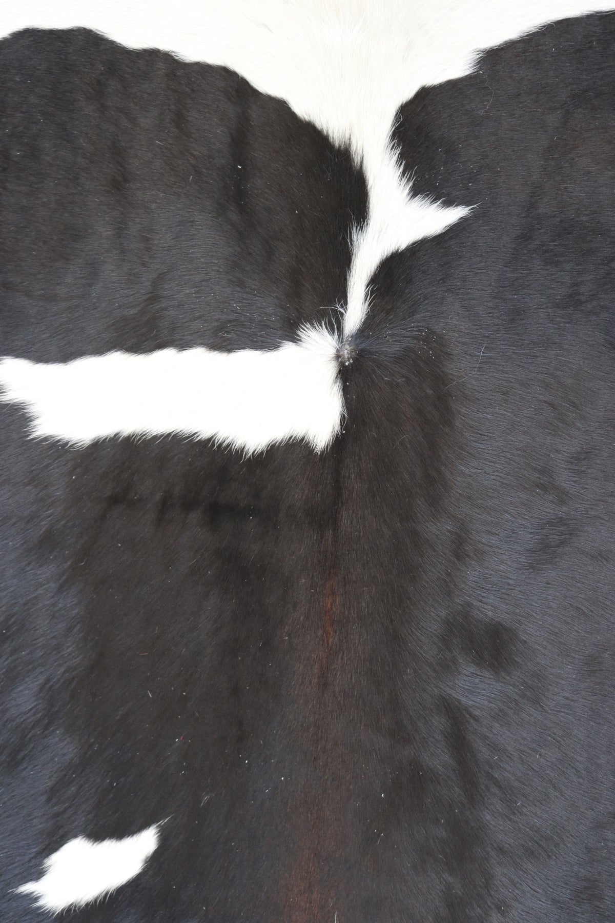 Tapete de Couro Formatado TAMANHO [2,30X1,20]