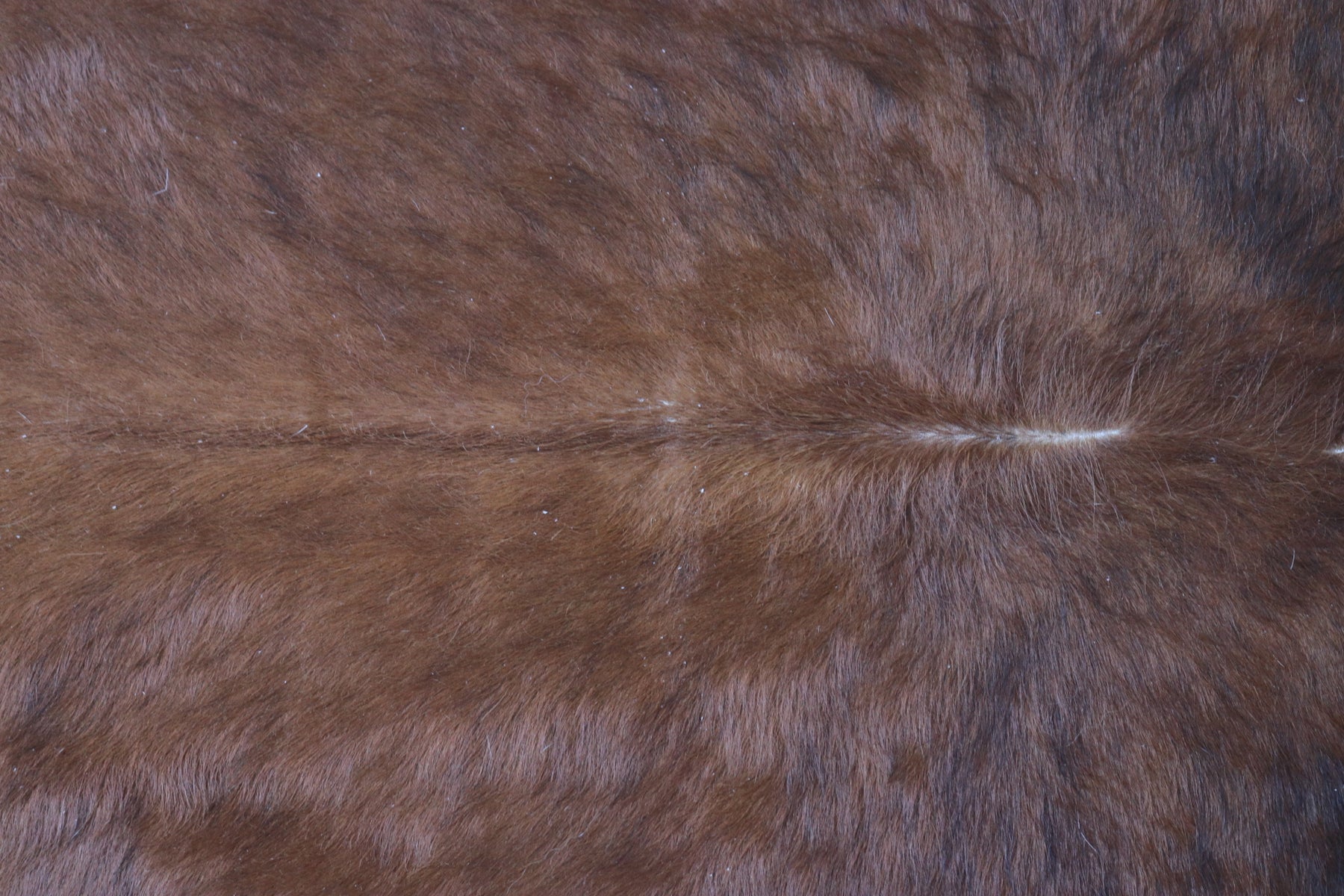 Tapete de Couro Formatado TAMANHO [2,10X2,00]