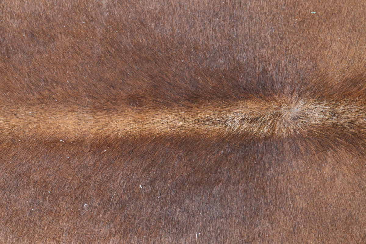 Tapete de Couro Formatado TAMANHO [2,25X2,00]