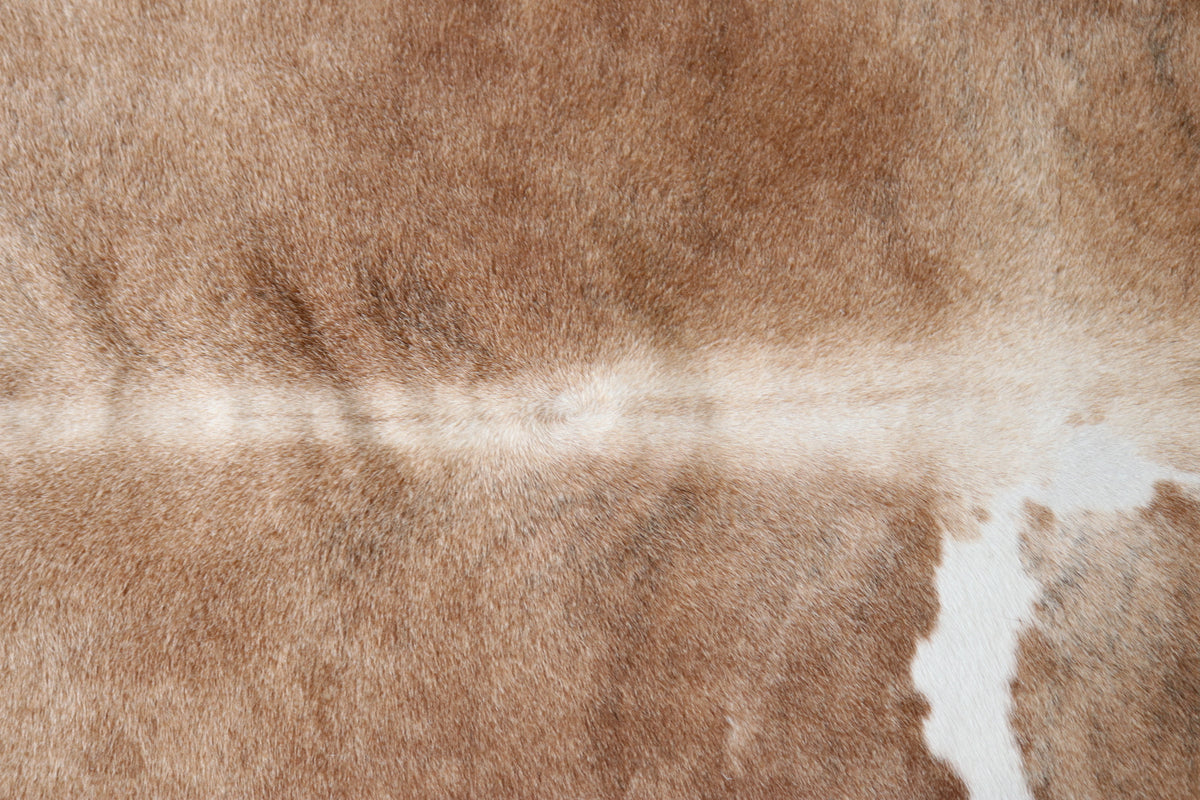 Tapete de Couro Formatado TAMANHO [2,05X1,85]