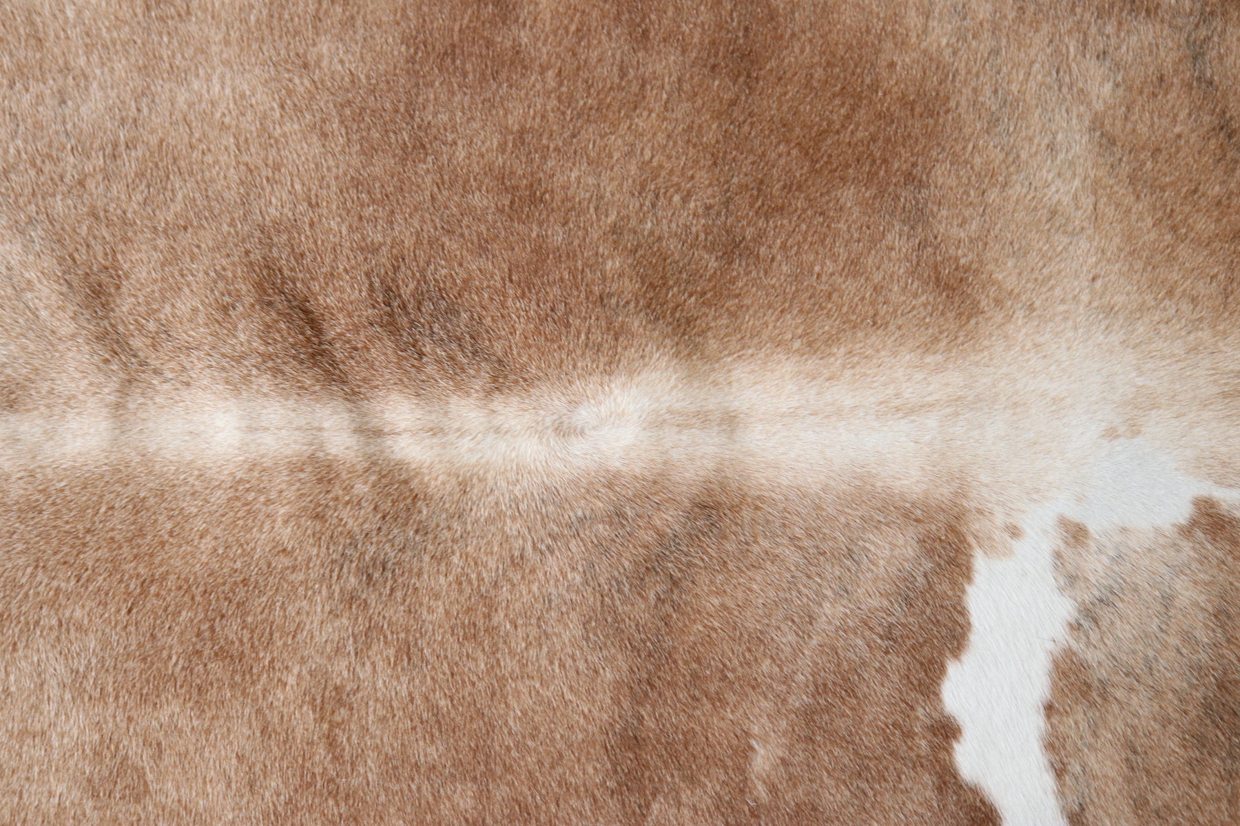 Tapete de Couro Formatado TAMANHO [2,05X1,85]