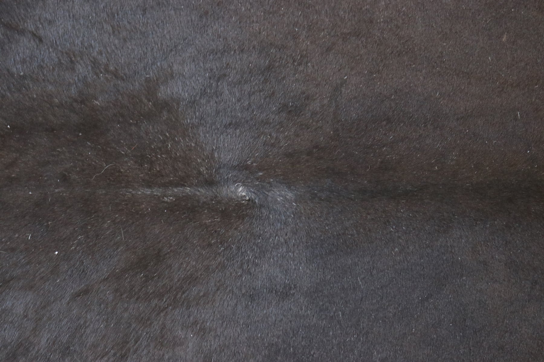 Tapete de Couro Formatado TAMANHO [1,96X1,70]