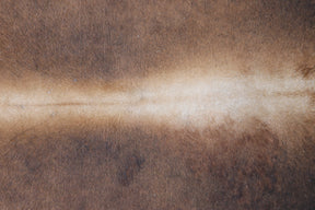 Tapete de Couro Formatado TAMANHO [2,20X1,82]