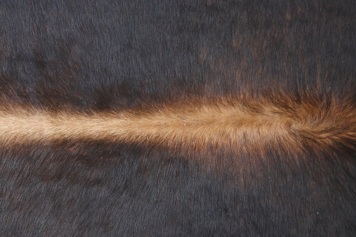 Tapete de Couro Formatado TAMANHO [1,97X1,83]