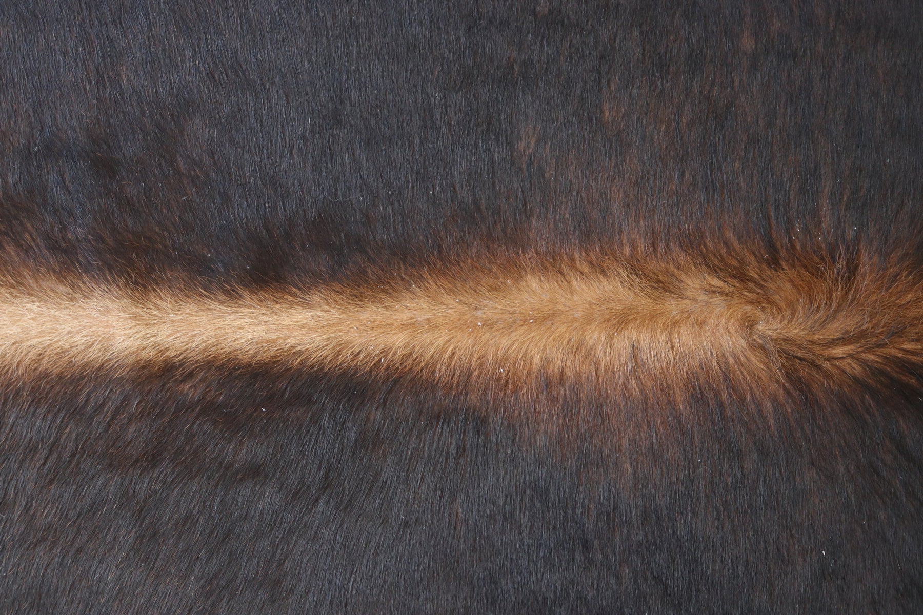 Tapete de Couro Formatado TAMANHO [1,97X1,83]