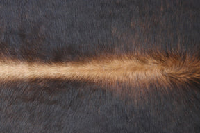 Tapete de Couro Formatado TAMANHO [1,97X1,83]