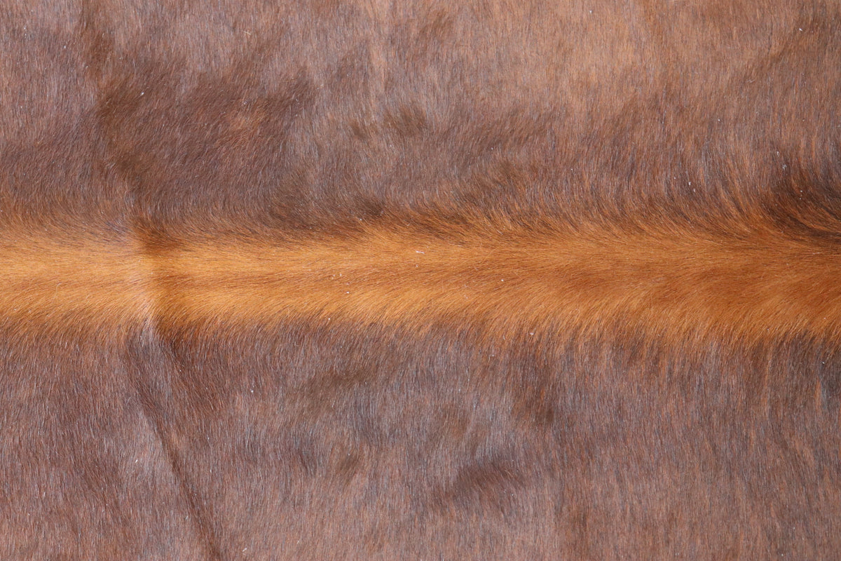 Tapete de Couro Formatado TAMANHO [2,25X2,05]