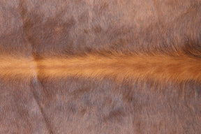 Tapete de Couro Formatado TAMANHO [2,25X2,05]