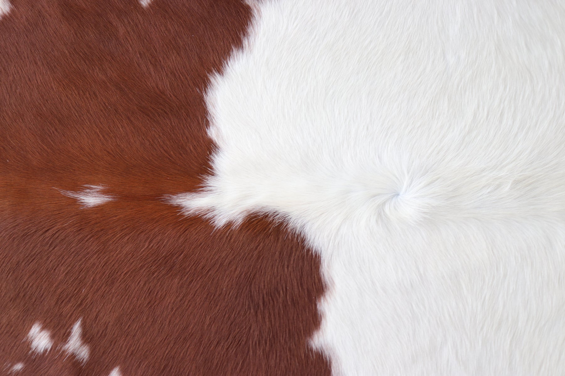 Tapete de Couro Formatado TAMANHO [1,76X1,86]