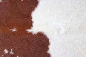 Tapete de Couro Formatado TAMANHO [1,76X1,86]