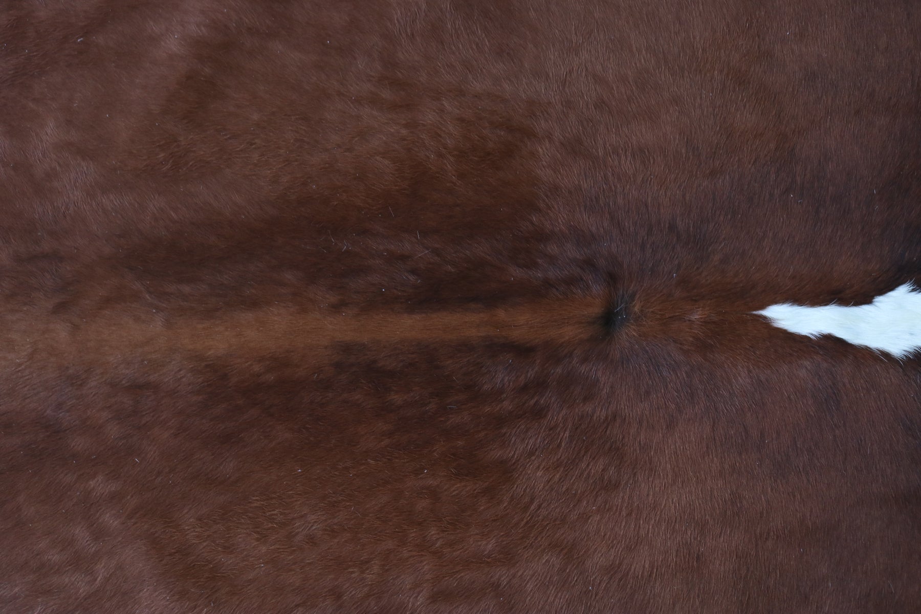 Tapete de Couro Formatado TAMANHO [2,00X1,90]