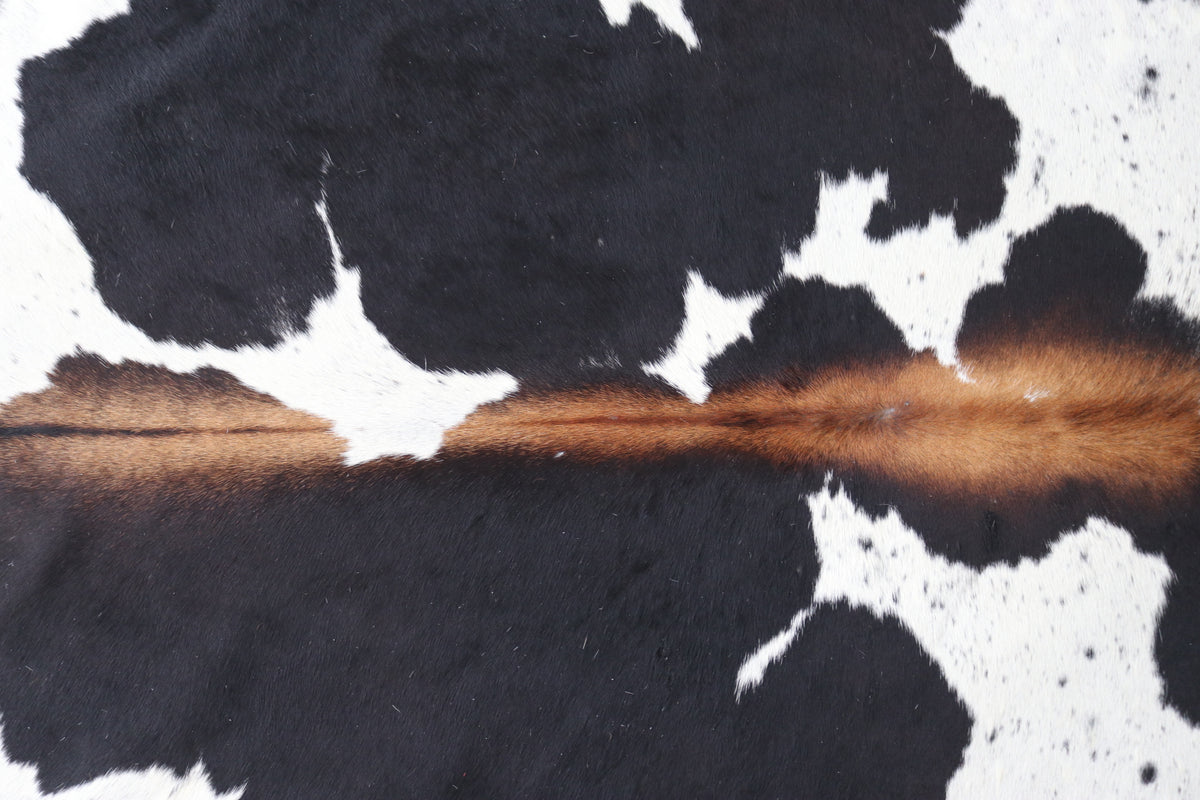 Tapete de Couro Formatado TAMANHO [2,00X2,00]