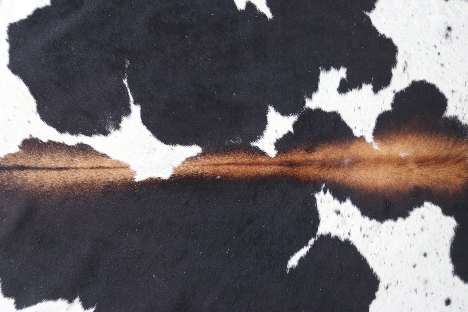 Tapete de Couro Formatado TAMANHO [2,00X2,00]