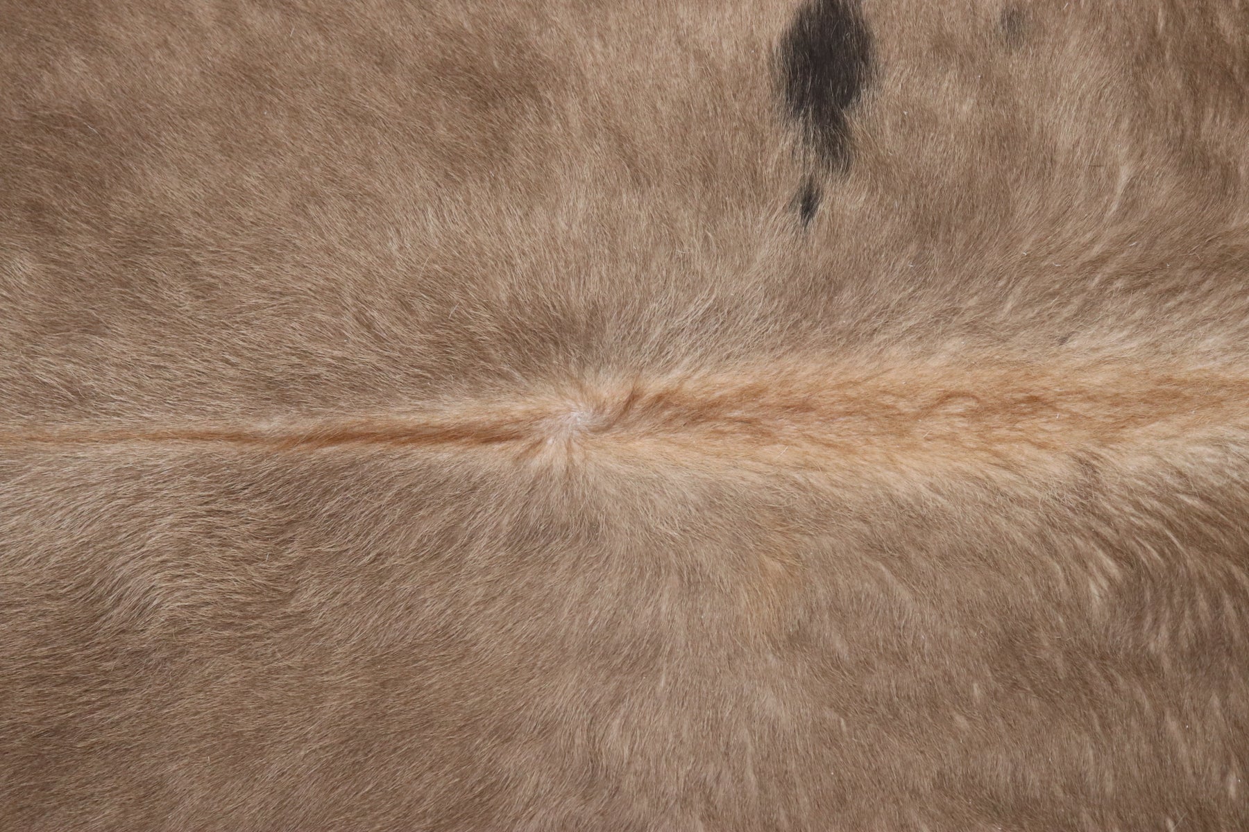 Tapete de Couro Formatado TAMANHO [2,32X1,97]