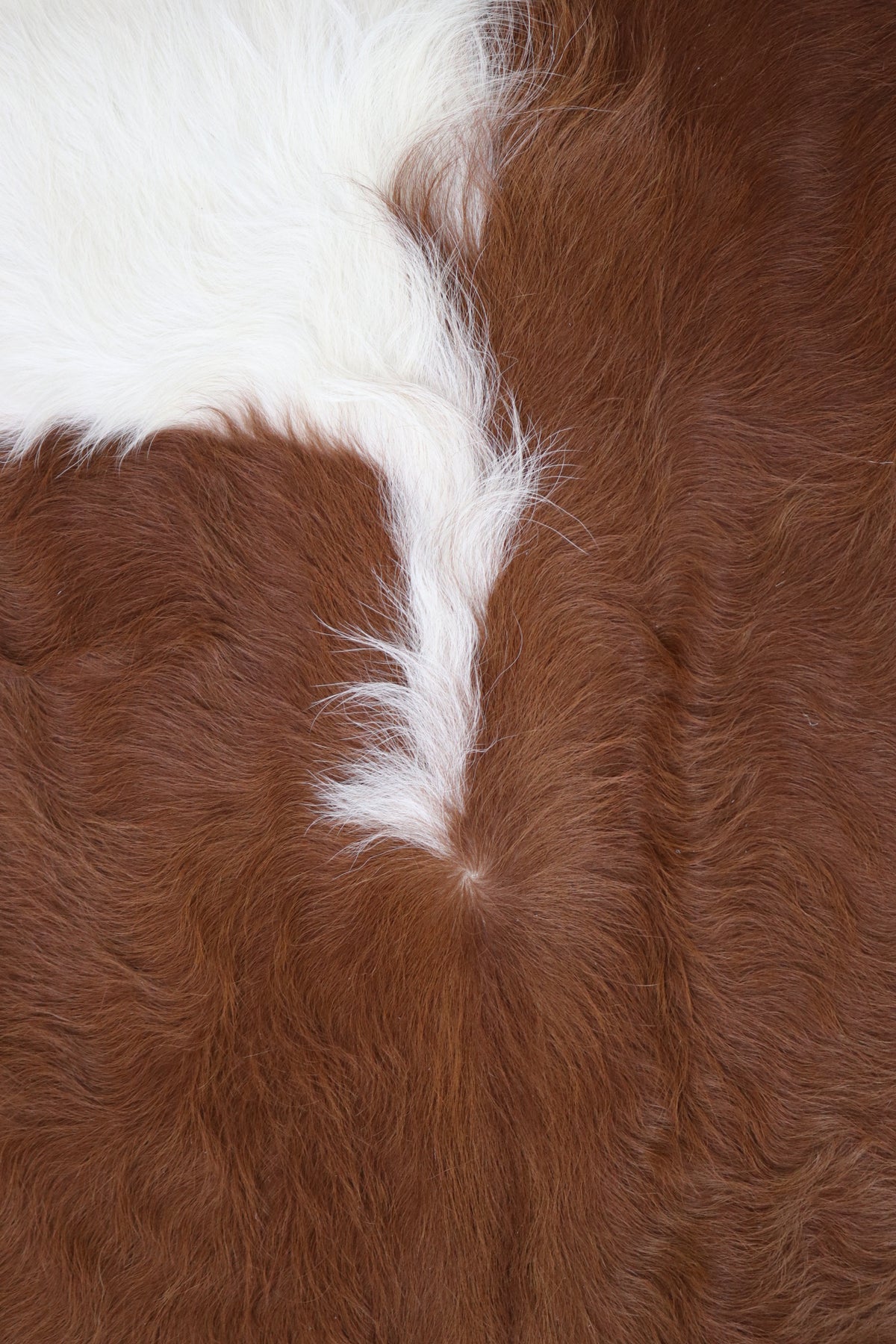 Tapete de Couro Formatado TAMANHO [2,00X1,90]