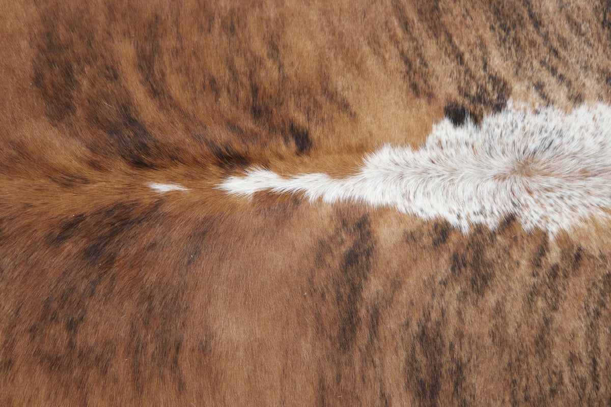 Tapete de Couro Formatado TAMANHO [2,10X1,98]