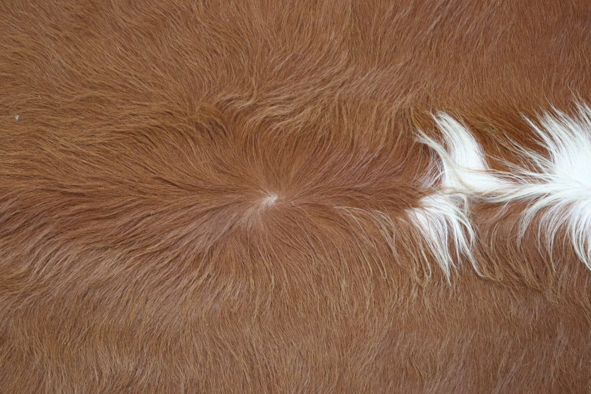 Tapete de Couro Formatado TAMANHO [1,93X1,95]