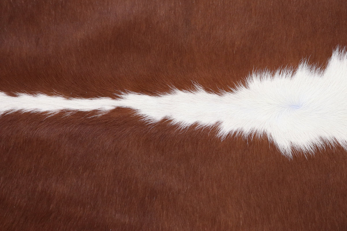 Tapete de Couro Formatado TAMANHO [2,30X1,80]